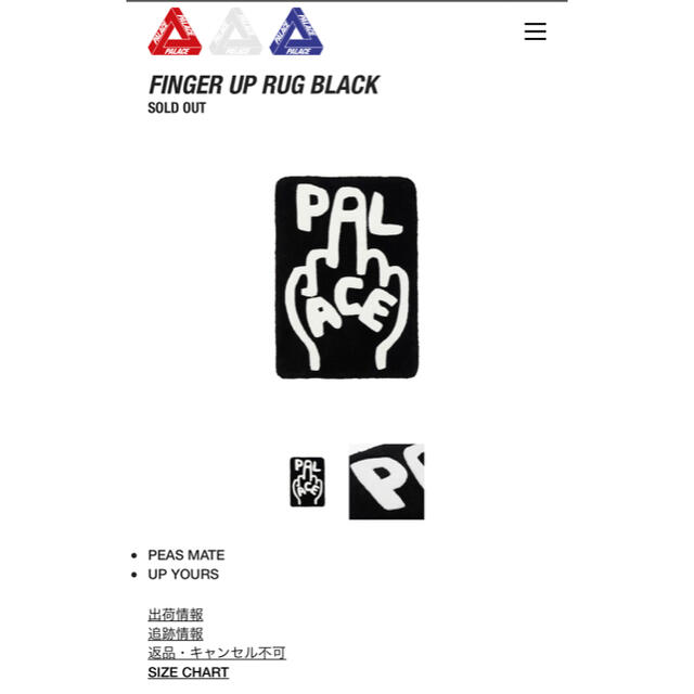 沸騰ブランド Palace Skateboards パレス フロアマット ラグマット -その他