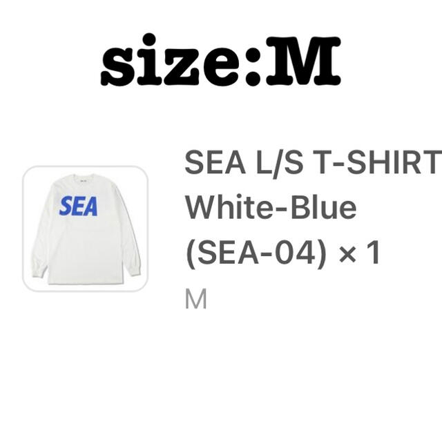GDC(ジーディーシー)のwindandsea L/S T-SHIRT wind and sea  メンズのトップス(Tシャツ/カットソー(七分/長袖))の商品写真