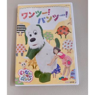 いないいないばぁっ！ゆきちゃんワンワン　ワンツーパンツー　DVD(キッズ/ファミリー)