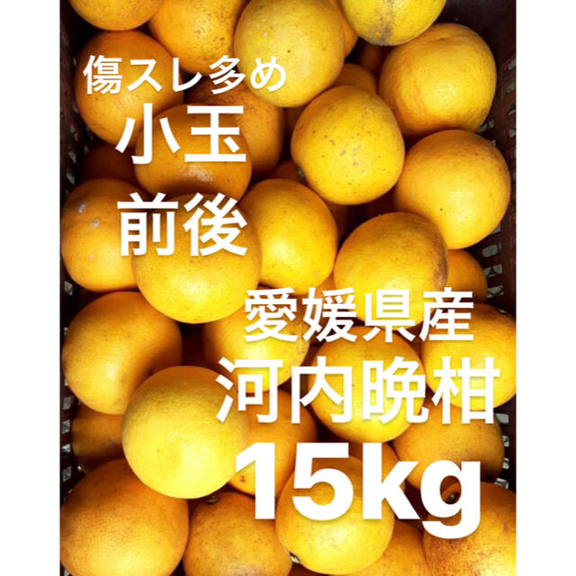 愛媛県　小玉　宇和ゴールド　河内晩柑　15kg 食品/飲料/酒の食品(フルーツ)の商品写真