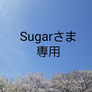 Sugarさま専用　ハンドメイド　プリーツインナーマスク　キッズ２枚組(外出用品)