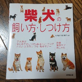 柴犬の飼い方・しつけ方(住まい/暮らし/子育て)