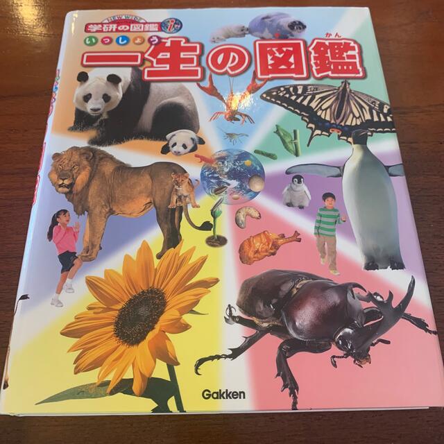 一生の図鑑 エンタメ/ホビーの本(絵本/児童書)の商品写真