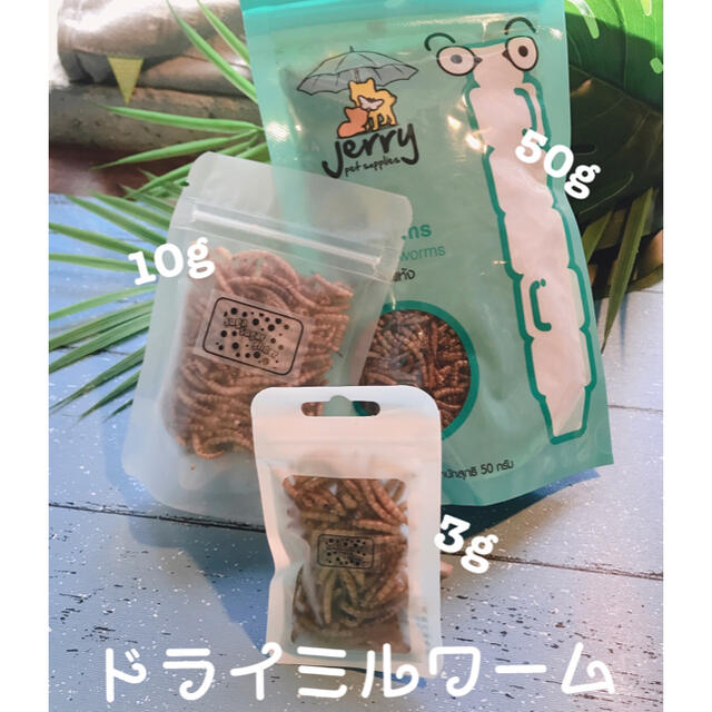 ドライミルワーム10g その他のペット用品(ペットフード)の商品写真