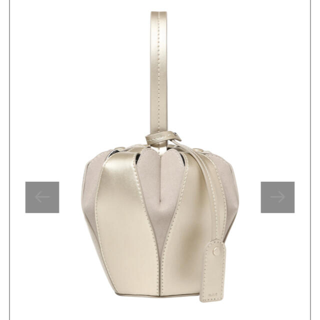 ヤンチェオンテンバール VASICコラボ ペタル ミニ ゴールド 新品！ レディースのバッグ(ショルダーバッグ)の商品写真