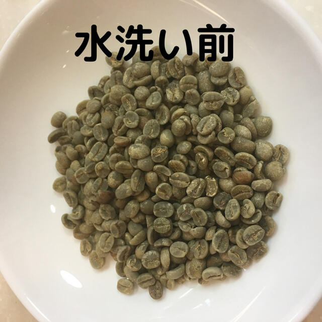 自家焙煎 ブラジル トミオフクダ　ドライオンツリー300g(豆又は粉) 食品/飲料/酒の飲料(コーヒー)の商品写真