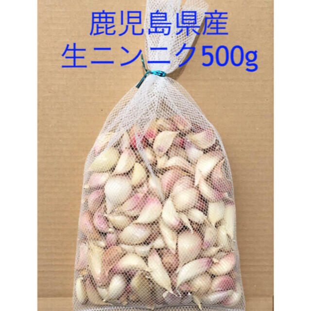 鹿児島県産 生ニンニク500g 食品/飲料/酒の食品(野菜)の商品写真