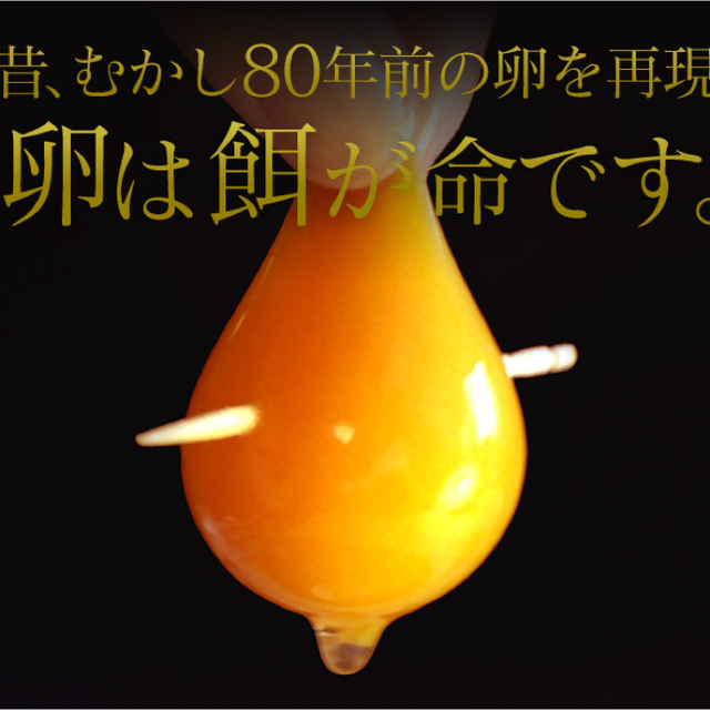 国産米粉のシフォンケーキ(レモン、ほうじ茶)20cm12カット 食品/飲料/酒の食品(菓子/デザート)の商品写真
