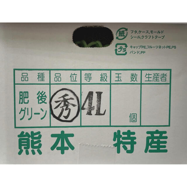 甘過ぎ！！果物の王様【肥後グリーンメロン】 秀品4L 2玉　箱込み約5kg 食品/飲料/酒の食品(フルーツ)の商品写真