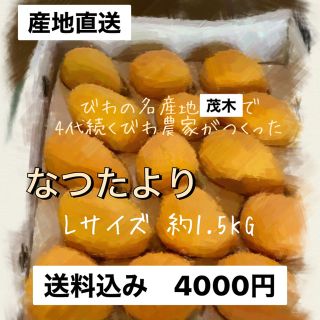 なつたより　Lサイズ（1.5KG）(フルーツ)