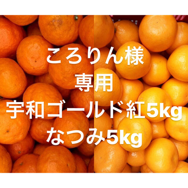 ころりん様　専用　宇和ゴールド紅5kg なつみ5kg 食品/飲料/酒の食品(野菜)の商品写真