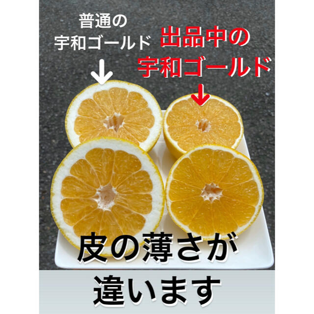 ころりん様　専用　宇和ゴールド紅5kg なつみ5kg 食品/飲料/酒の食品(野菜)の商品写真