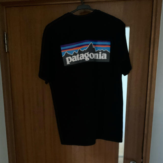 patagonia(パタゴニア)のパタゴニア　Tシャツ メンズのトップス(Tシャツ/カットソー(半袖/袖なし))の商品写真