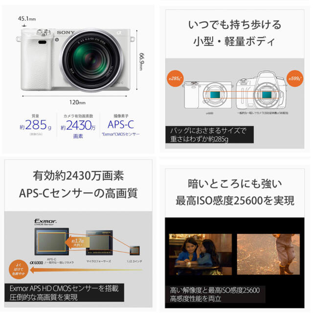 美品‼️SONY αNEX-5R 高画質　デジタルカメラ　一眼レフ　カメラ 9