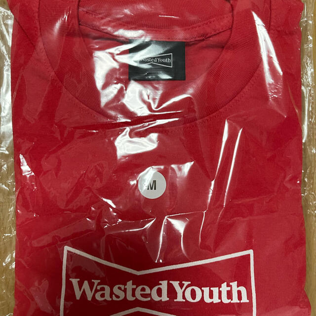 GDC(ジーディーシー)のwasted youth girls don’t cry メンズのトップス(Tシャツ/カットソー(半袖/袖なし))の商品写真