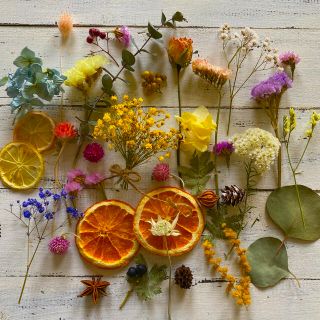 ドライフラワー花材・ドライフルーツ花材⭐️クレイケーキ、サシェ⭐️(各種パーツ)
