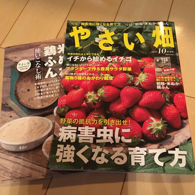 やさい畑 2020年 10月号 エンタメ/ホビーの雑誌(趣味/スポーツ)の商品写真