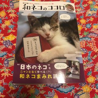 和ネコのココロ 可愛い和ネコたちでホッコリ＆まったり(住まい/暮らし/子育て)