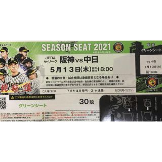 ハンシンタイガース(阪神タイガース)の阪神 vs 中日 グリーンシート 通路側 5月13日(木) 18:00-(野球)