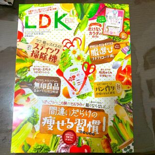 LDK (エル・ディー・ケー) 2021年 06月号(生活/健康)