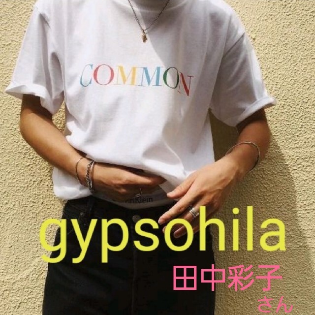 Ron Herman(ロンハーマン)のいくらちゃん様専用出品 gypsohila  tシャツ tee 田中彩子さん レディースのトップス(Tシャツ(半袖/袖なし))の商品写真