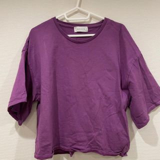 シンプリシテェ(Simplicite)のSIMPLICITE 半袖シャツ(Tシャツ(半袖/袖なし))