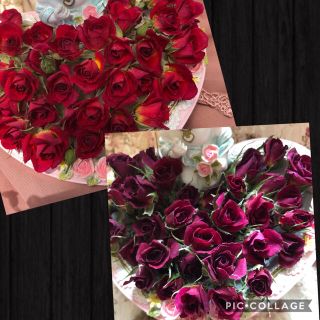 じゅの3様専用★ミニ薔薇20輪セット+おまけ2輪付き★ドライフラワー★花材　素材(ドライフラワー)