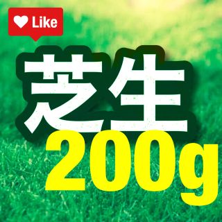 【説明書つき】高級芝生の種200g（4平米) 耐暑性あり！冬でも青い西洋芝生(その他)