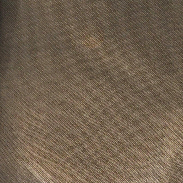 mina perhonen(ミナペルホネン)のSally Scott ベージュのプリーツスカート レディースのスカート(ロングスカート)の商品写真