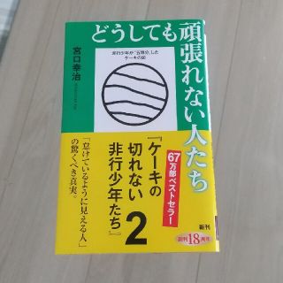 どうしても頑張れない人たち ケーキの切れない非行少年たち　２(文学/小説)