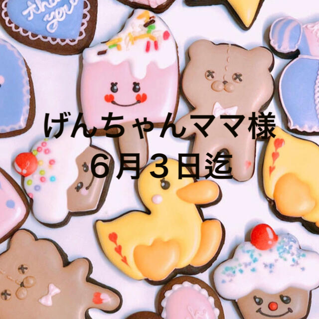 期間限定価格! げんちゃんママ様 - www.gorgas.gob.pa