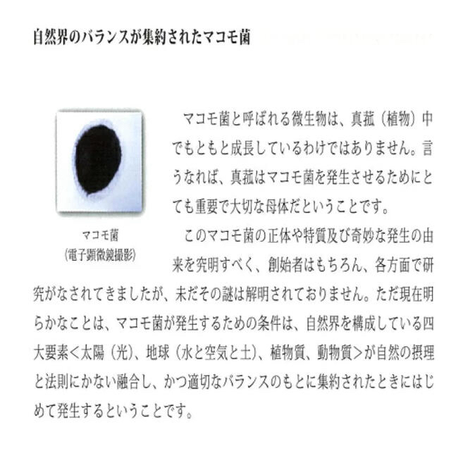 マコモ（190g）【賞味期限:2024.4.30】