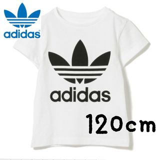 アディダス(adidas)の【新品】adidas アディダス トレフォイル Tシャツ ホワイト 120センチ(Tシャツ/カットソー)