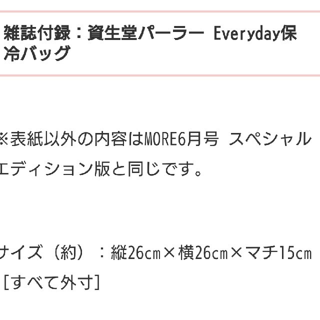 SHISEIDO (資生堂)(シセイドウ)のMORE付録資生堂パーラー保冷バック エンタメ/ホビーのエンタメ その他(その他)の商品写真