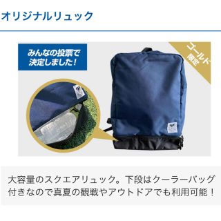 ガンバ大阪　2021年ファンクラブ特典リュックサック(記念品/関連グッズ)