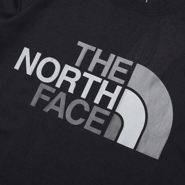 THE NORTH FACE(ザノースフェイス)の【新品】2021春夏新作 The North face カラフルロゴT 黒 メンズのトップス(Tシャツ/カットソー(半袖/袖なし))の商品写真