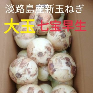 大玉◎秀品3Lサイズ20Kg◎淡路島新玉ねぎ　たまねぎ　玉葱(野菜)