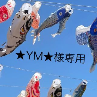 ★YM★プロフ一読お願い致します。様専用(外出用品)