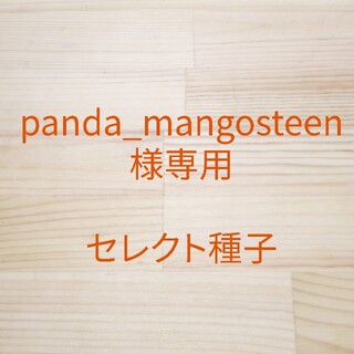 panda_mangosteen様専用　セレクト種子　6袋(野菜)