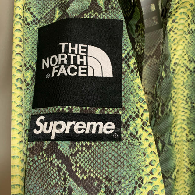 supreme the north face sneak skin