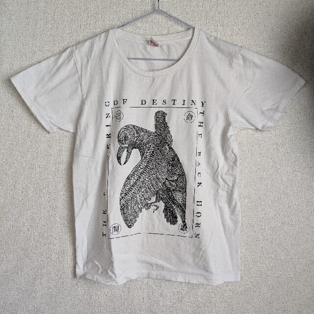 ACIDMANライブTシャツ(2013年 新世界)　他2枚 エンタメ/ホビーのタレントグッズ(ミュージシャン)の商品写真