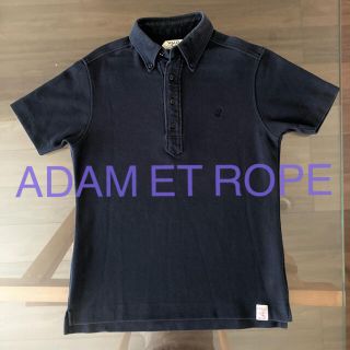 アダムエロぺ(Adam et Rope')のWild life Taylor POLO(シャツ)