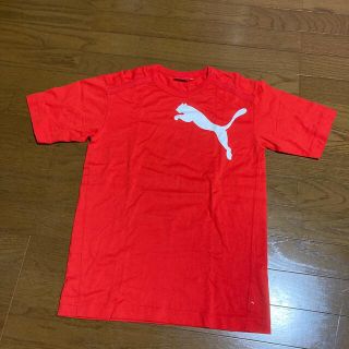 プーマ(PUMA)のPUMA 160cm 半袖Tシャツ(Tシャツ/カットソー)