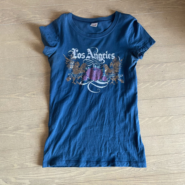 Hollister(ホリスター)のホリスター　ローズロゴプリントTシャツ レディースのトップス(Tシャツ(半袖/袖なし))の商品写真