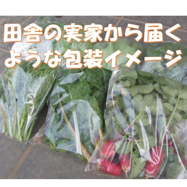 すっかり春だね　春野菜詰め合わせ　７０サイズ　５月１５日～１６日の発送 食品/飲料/酒の食品(野菜)の商品写真