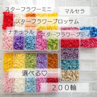 monamu様　専用出品 BDUGJRWZ均等(各種パーツ)