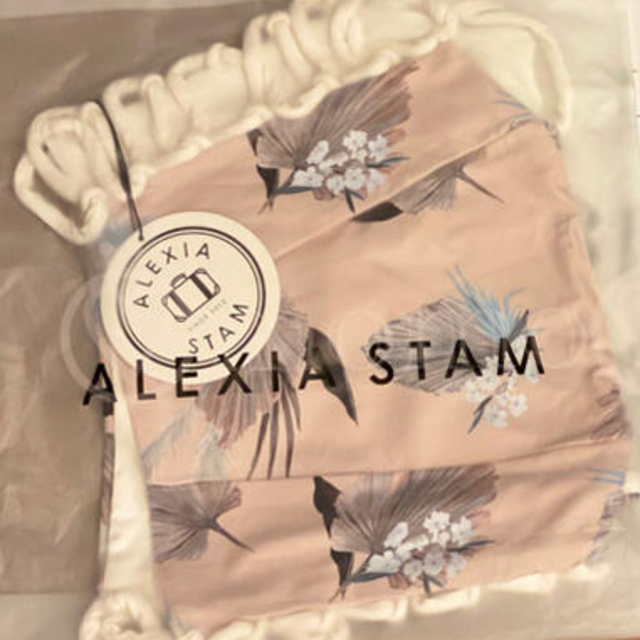 ALEXIA STAM(アリシアスタン)のアリシアスタン 水着 Heather 下 ビキニボトム Ｌサイズ　新品未試着 レディースの水着/浴衣(水着)の商品写真