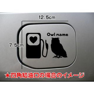 【送料無料】フクロウ ふくろう 梟 給油口 ステッカー リアガラス 車 鳥(鳥)