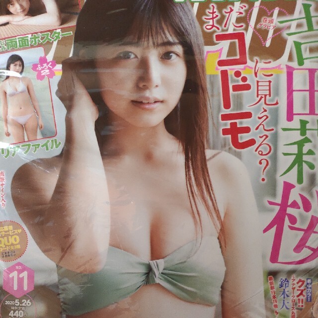ヤングチャンピオン 2020年 5/26号 エンタメ/ホビーの雑誌(アート/エンタメ/ホビー)の商品写真