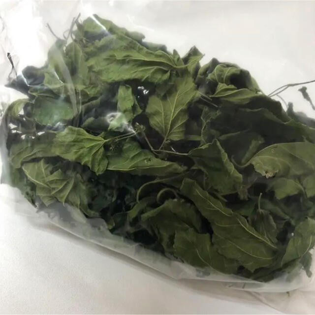 乾燥　桑の葉　無農薬　桑茶 食品/飲料/酒の健康食品(健康茶)の商品写真